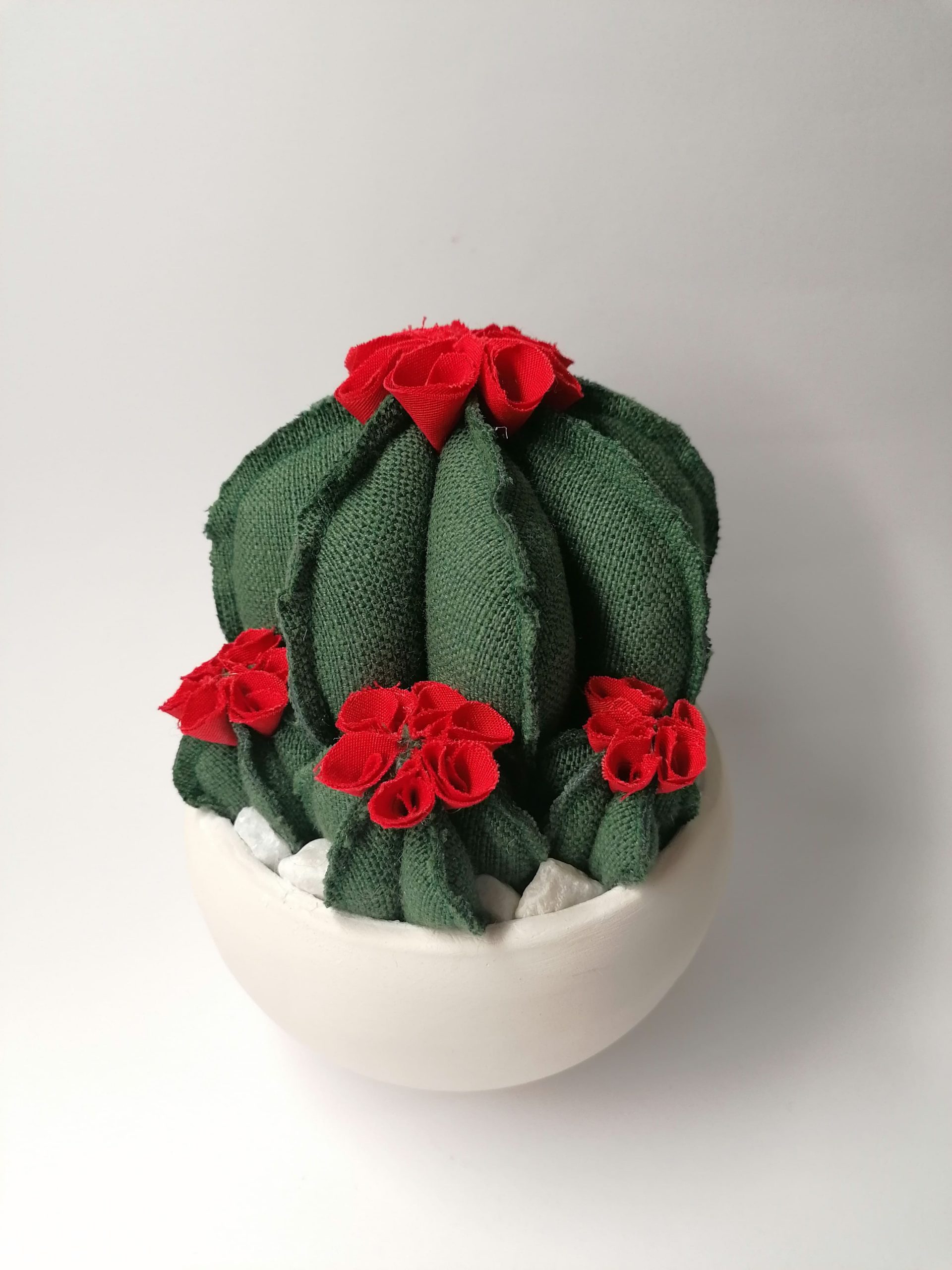 Composizione Cactus Con Fiori Secchi